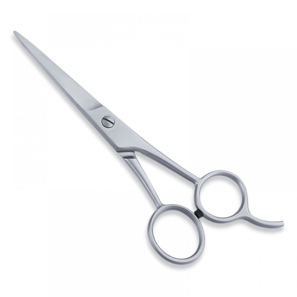 Economy Hair Scissor