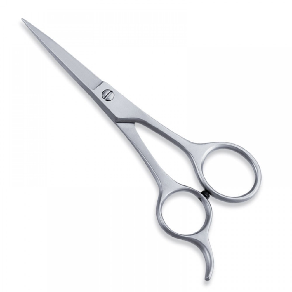 Economy Hair Scissor