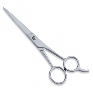 Economy Hair Scissor