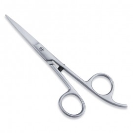 Economy Hair Scissor