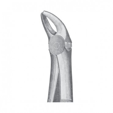 EXTRACTING FORCEPS 'ENGLISH PATTERN'