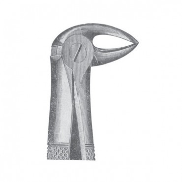 EXTRACTING FORCEPS 'ENGLISH PATTERN'