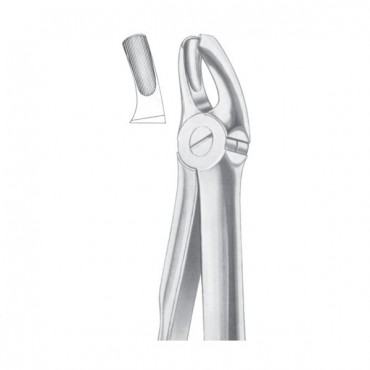 EXTRACTING FORCEPS 'ENGLISH PATTERN'