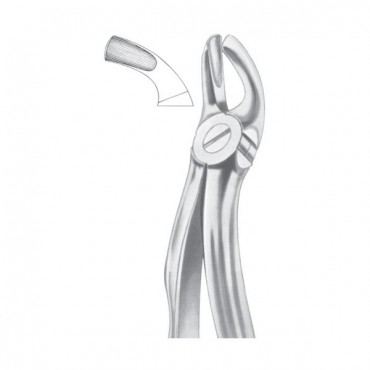 EXTRACTING FORCEPS 'ENGLISH PATTERN'