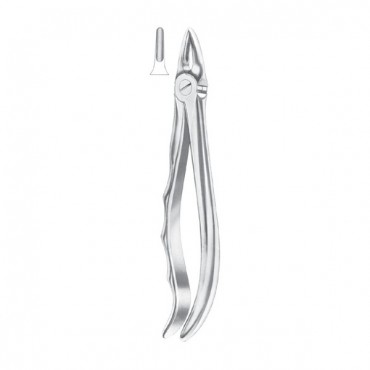 EXTRACTING FORCEPS 'ENGLISH PATTERN'