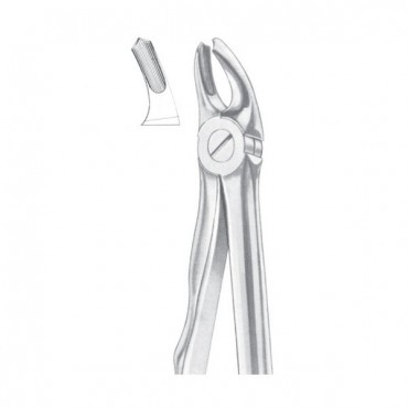 EXTRACTING FORCEPS 'ENGLISH PATTERN'