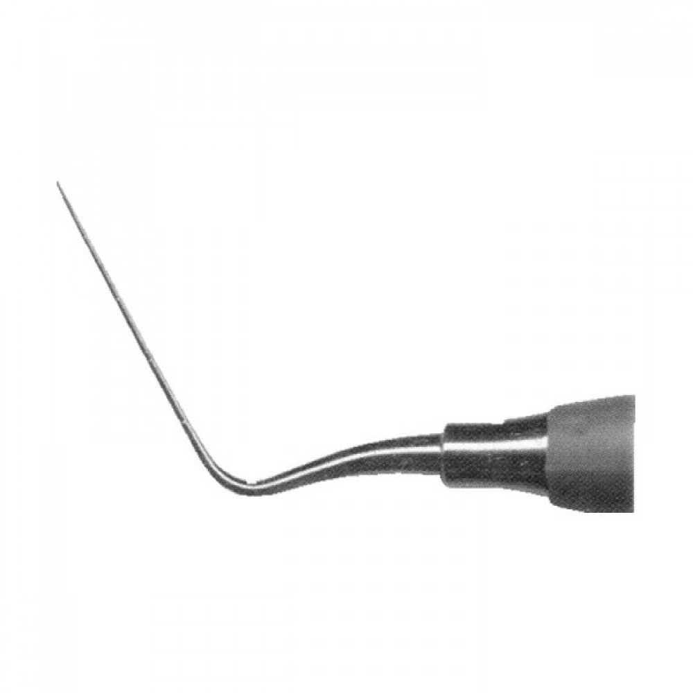 ENDODONTIC CONDENSERS/ SPREADERS