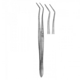 DENTAL TWEEZERS